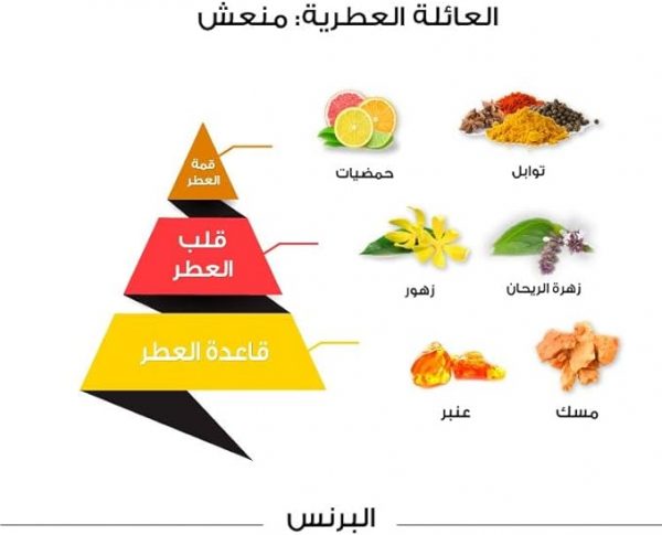 ⁦عطر البرنس الكلاسيكي للرجال من الماجد للعود، 100 مل⁩ - الصورة ⁦2⁩